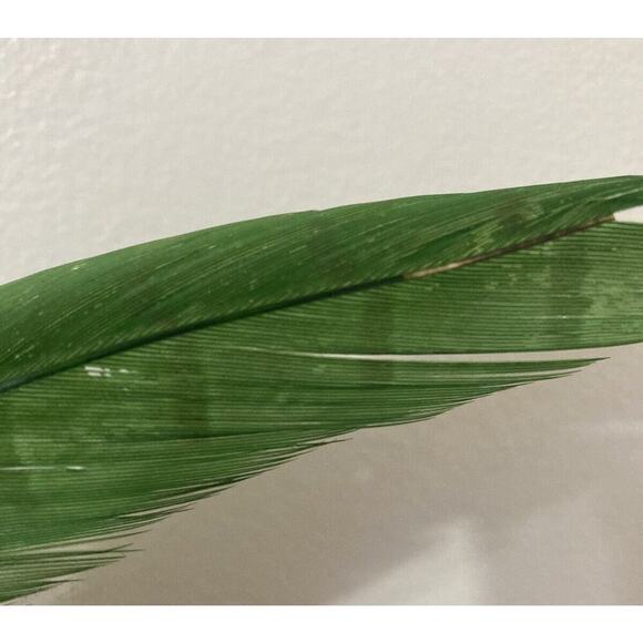 Vintage 1950’s Ladies Imported Alaskan Fur Pillbox Fascinator Hat Miss Howes - Picture 12 of 13